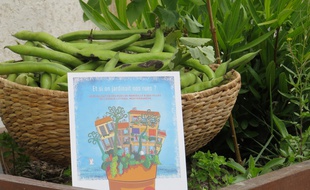 Les Passeurs de jardin présentent le guide la végétalisation