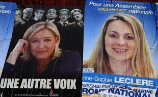 Le Conseil représentatif des associations noires (Cran) a dénoncé jeudi "le silence assourdissant" de François Hollande après les propos d'une ex-candidate FN aux municipales qui avait comparé la garde des Sceaux, Christiane Taubira, à un singe.