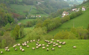 Certaines pratiques agricoles comme le surpâturage et l'utilisation d'engrais et de pesticides sont les principales menaces pour les habitats et la biodiversité