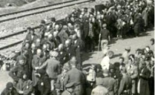 Photo du camp d'extermination.