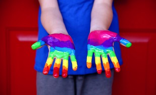 Un observatoire des LGBT+phobies a été installé par l'Académie de Toulouse.