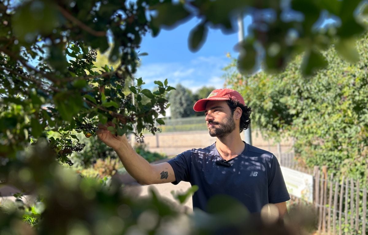 « Je voulais faire quelque chose de positif » : à Lyon, le paysagiste Robin Gervais, instrumentalisé par la droite