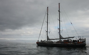 Le voilier Tara rentre à son port d'attache de Lorient, le 22 novembre 2014.