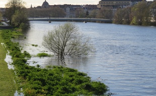 La Loire déborde sur le quai François-Mitterrand, sur l'île de Nantes.