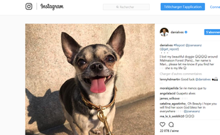 Voici le chien (ou la petite crotte) de Daniel Alves.