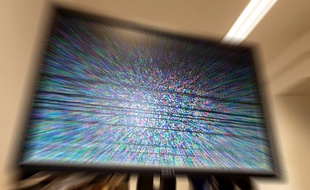 Parasites sur un écran de télévision (illustration).