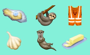 Plus de 200 nouveaux émotciônes arrivent en 2019, dont un gilet orange, une loutre et une plaquette de beurre, parce que pourquoi pas