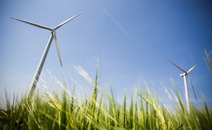 Des éoliennes en Occitanie (Illustration)