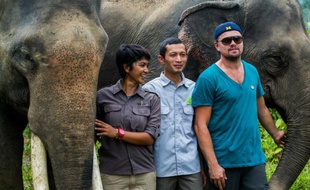 Photographie transmise le 29 mars 2016 par le Fondation pour la forêt, la nature et l'environnement de Aceh montrant Leonardo DiCaprio lors de sa visite du parc national Leuser en Indonésie