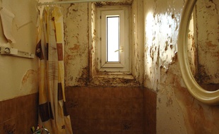 A Paris, certains habitants vivent dans des logements insalubres.