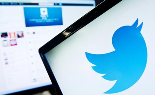 Le symbole de Twitter (illustration).