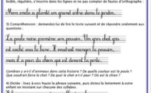 Test SOS education