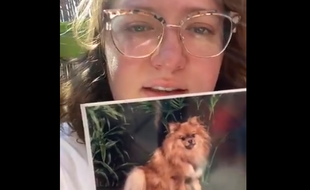 Dans la vidéo, la Montpelliéraine raconte s'être fait voler sa chienne