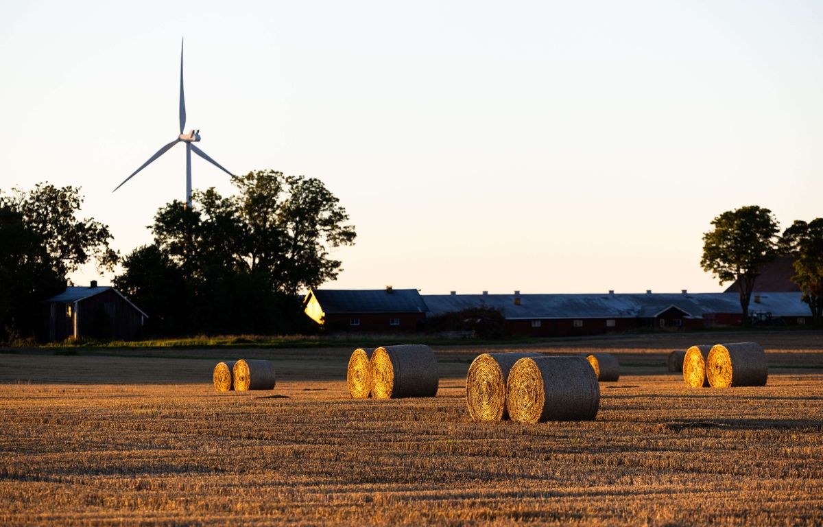 Suède : Pourquoi l’armée a-t-elle demandé l’arrêt de 13 projets de parcs éoliens ? image