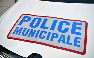 Deux policiers municipaux toulousains ont été violemment agressés dans la nuit de samedi à dimanche. Illustration.