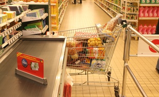 Ll'hypermarche Geant Casino d'Albi. Chariot de supermarche Caddie, illustration.