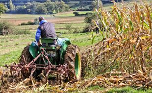 Un agriculteur travaillant dans son champ (illustration).