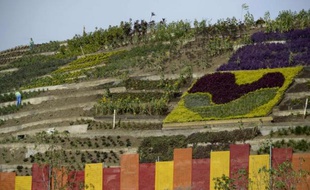 La montagne d'ordures transformée en jardin à Medellin, le 9 avril 2014