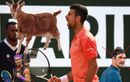 Djokovic est déjà le GOAT, mais comment convaincre les Nadalistes et Federistes ?