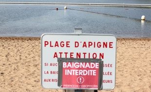Un panneau indique que la baignade est interdite à cause des cyanophycées, ici le 6 juillet 2017 aux étangs d'Apigné, à Rennes.