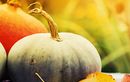 Purées pour bébés : les recettes d'automne