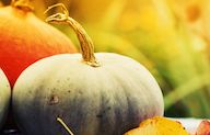 Purées pour bébés : les recettes d'automne