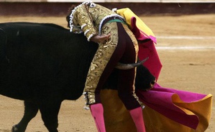 Corrida à Malaga.