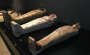 Plusieurs sarcophages sont exposés.