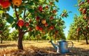 Comment garder des pommes croquantes tout l’été malgré la canicule : la méthode simple des jardiniers pour un verger productif et sans fruits abîmés