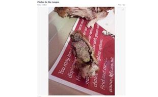 Ibrahim Langoo, un étudiant britannique de 19 ans, a publié sur sa page Facebook la photographie de l'aile de poulet achetée chez KFC où il a découvert un rein.