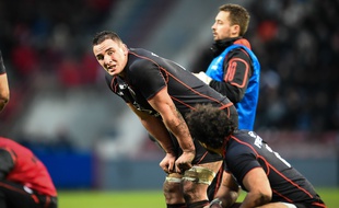 Le Toulousain Louis Picamoles lors du match de Coupe d'Europe contre les Anglais de Bath, le 18 janvier 2015.