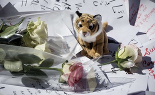 Des peluches en hommages aux victimes de l'attentat de Nice le 14 juillet 2016