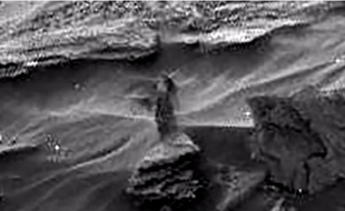 Des internautes pensent avoir trouvé une femme au décolleté vertigineux sur Mars.