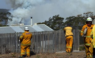 Des pompiers luttent contre un feu de broussaille, en janvier 2020.