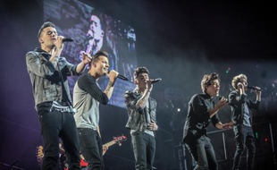 Liam Payne, Louis Tomlinson, Zayn Malik, Harry Styles et Niall Horan