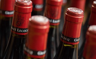 Des bouteilles de vin (illustration).