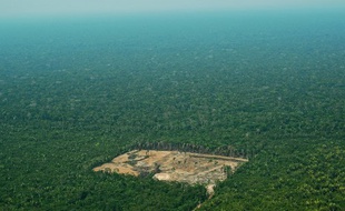 Vue aérienne d'une zone déforestée dans la partie brésilienne de l'Amazonie le 22 septembre 2017.