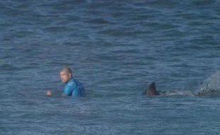 Le surfeur Mick Fanning attaqué par un requin en pleine compétition, le 19 juillet 2015.