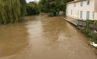 la Vernassonne qui est sortie de son lit à Alzonne, dans l'Aude.