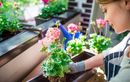 N’achetez plus de pots de fleurs ! Ces objets du quotidien transforment votre jardin en oasis zéro plastique