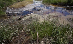 Fuite de pétrole dans la rivière Yellowstone, aux Etats-Unis, le 5 juillet 2011.