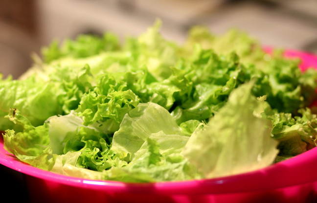 Risque de listeria : Des sachets de salade rappelés par Monoprix et Leclerc partout en France