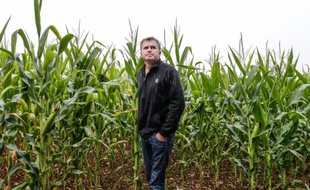 L'agriculteur Paul Francois, dans ses champs de céréales de Bernac, le 28 juillet 2015