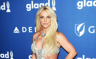 La chanteuse Britney Spears
