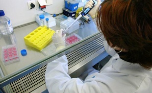France TV et Radio France vont s'affronter le 3 décembre à Paris lors d'un match de football "marathon" de 3 heures pour la 25e édition du Téléthon, événement caritatif au profit de la recherche contre les myopathies, a indiqué mercredi Radio France