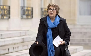 L'ex-ministre de l'Environnement Corinne Lepage à l'Elysée le 27 novembre 2014