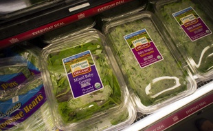 Des salades dans des emballages plastique