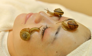 Illustration d'utilisation d'escargots comme produit de beauté