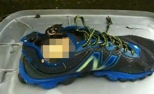 Un pied retrouvé dans une chaussure échouée sur la côte nord-ouest des Etats-Unis.