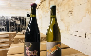 Les Chais du Port de la Lune produisent quatre vins dans le blockhaus.
